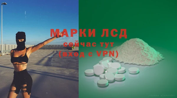 спайс Баксан